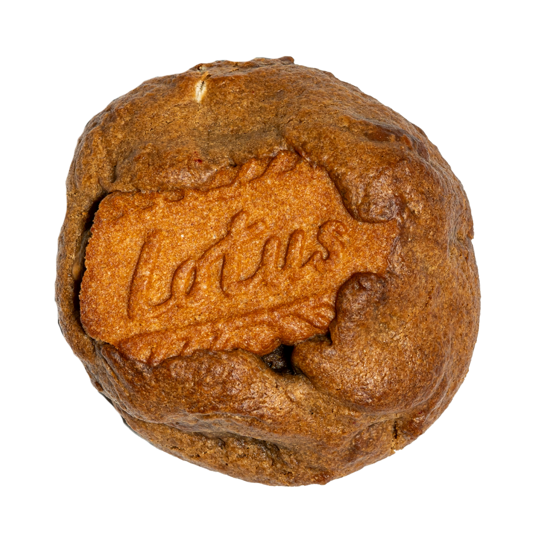 Paskukies Singles Box (5 Box Bundle)